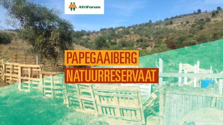 Papegaaiberg Natuurreservaat