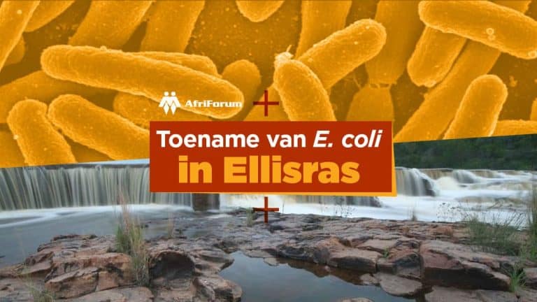 Toename van E. coli in Ellisras