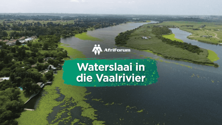 Waterslaai in die Vaalrivier